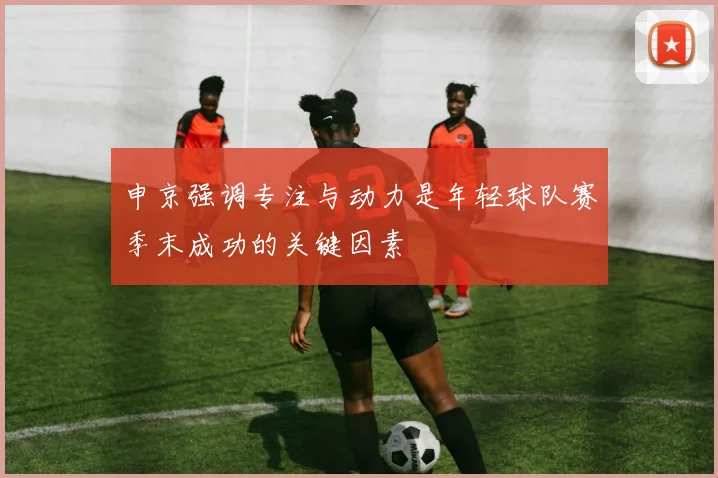 申京强调专注与动力是年轻球队赛季末成功的关键因素