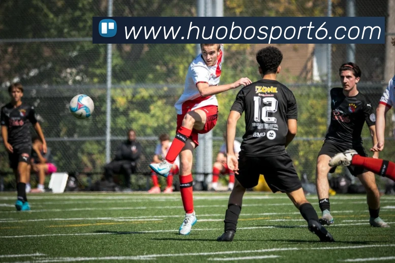 App Interface Preview